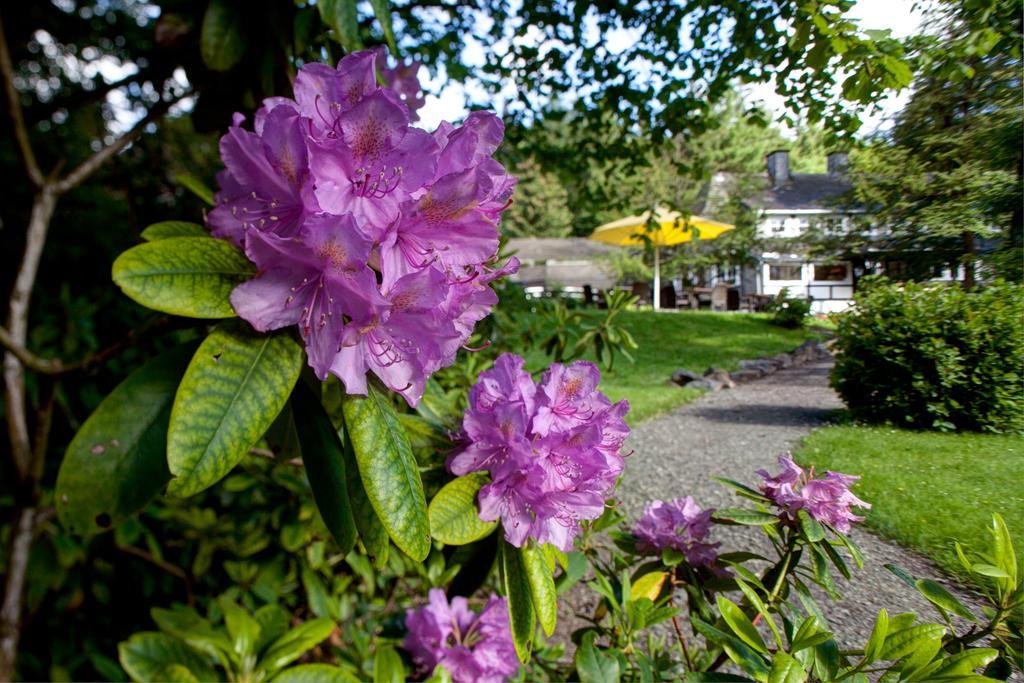 Romantik Hotel Stryckhaus Willingen  Luaran gambar